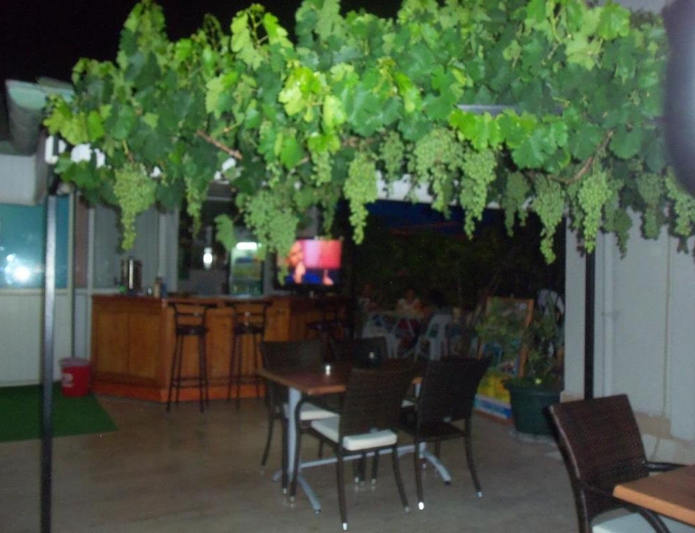 Outdoor Pictures 12