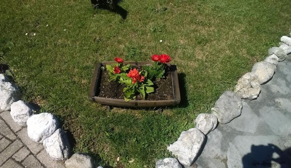 Outdoor Pictures 20