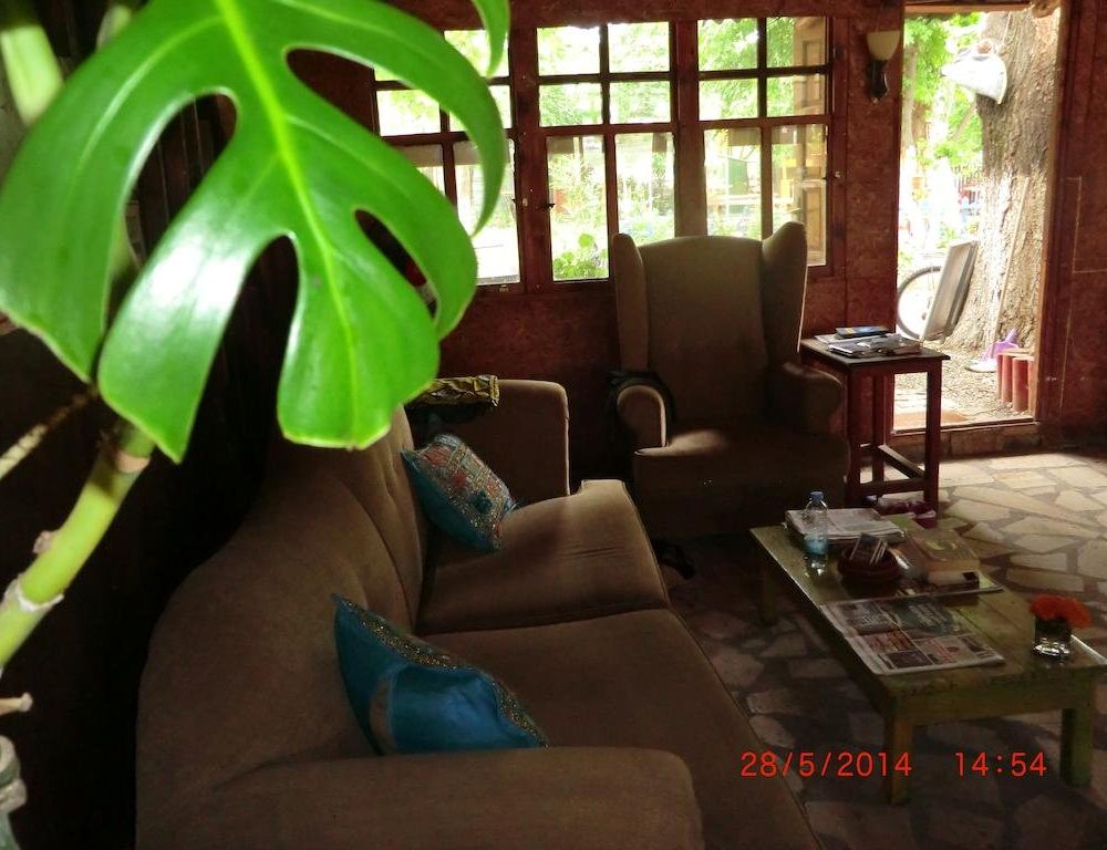 Outdoor Pictures 7