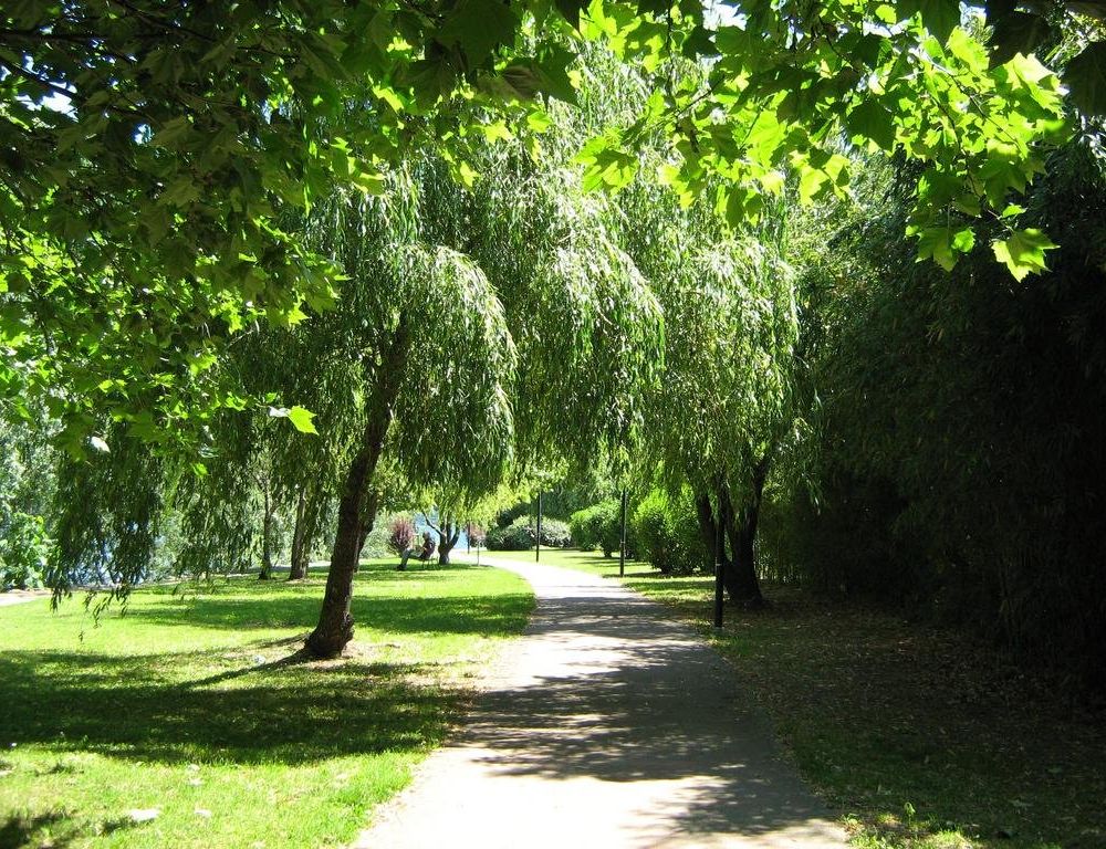 Outdoor Pictures 19