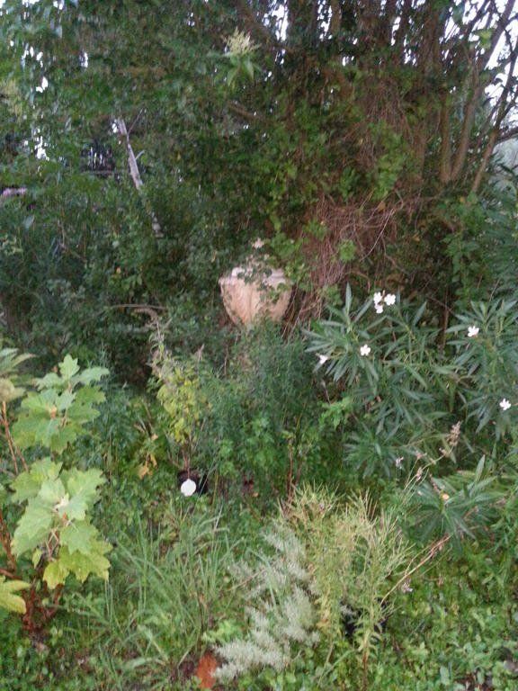 Outdoor Pictures 10