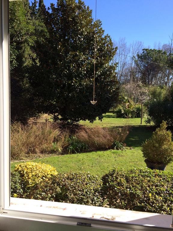 Outdoor Pictures 7