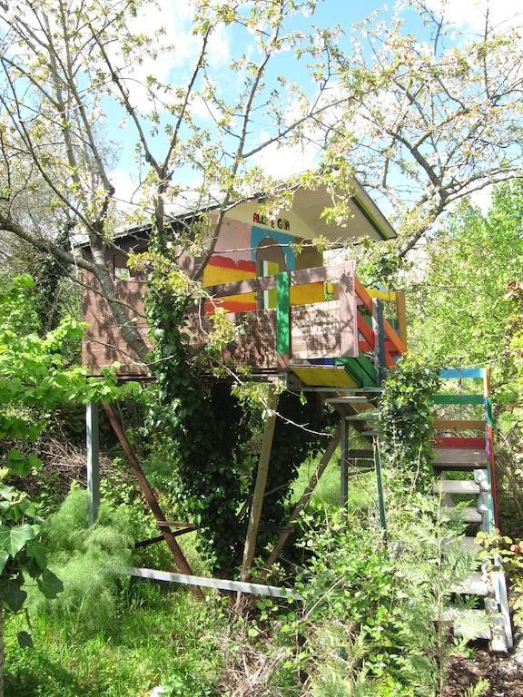 Outdoor Pictures 18