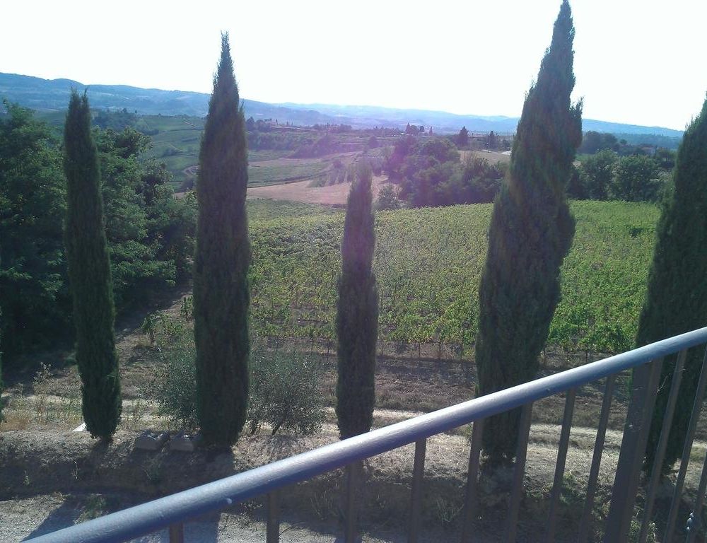 Outdoor Pictures 11