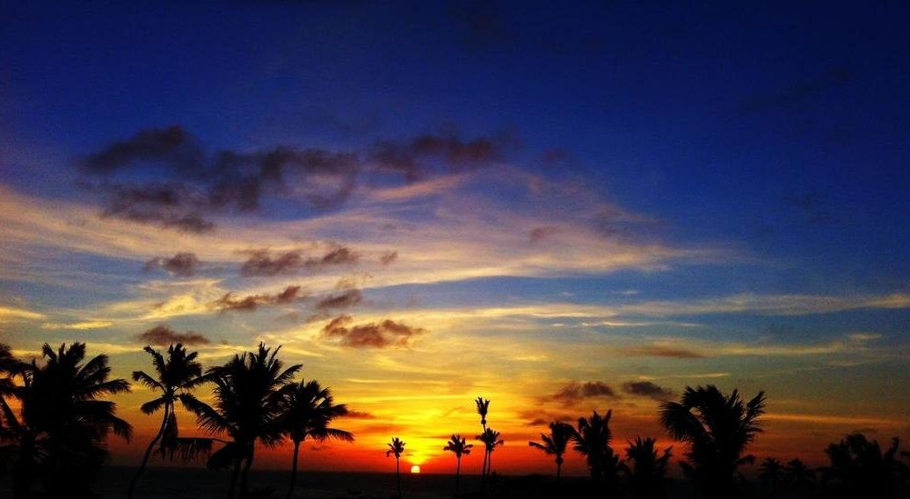 Outdoor Pictures 21