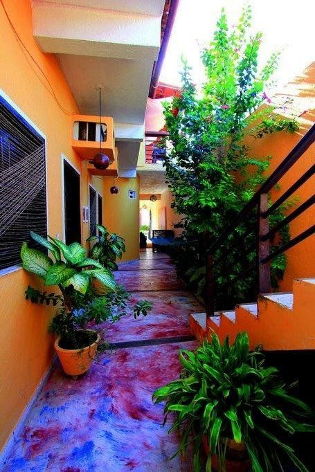 Outdoor Pictures 9