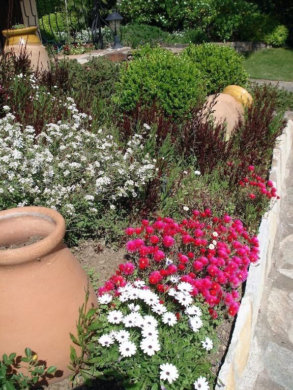 Outdoor Pictures 7