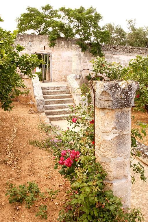 Outdoor Pictures 11