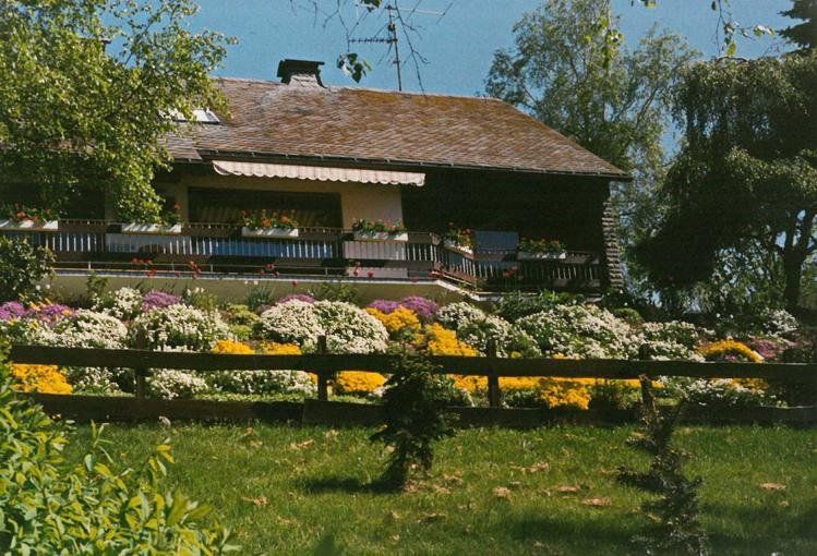 Outdoor Pictures 13