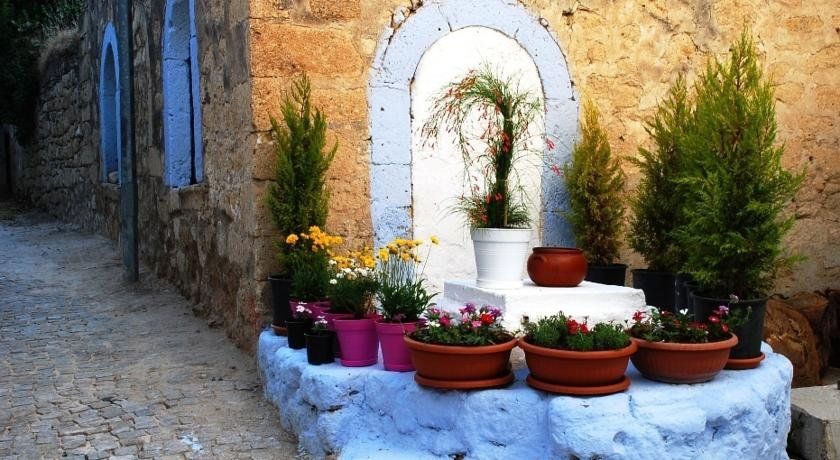Outdoor Pictures 24