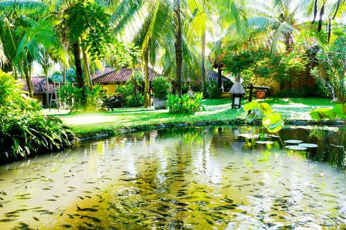 Outdoor Pictures 20