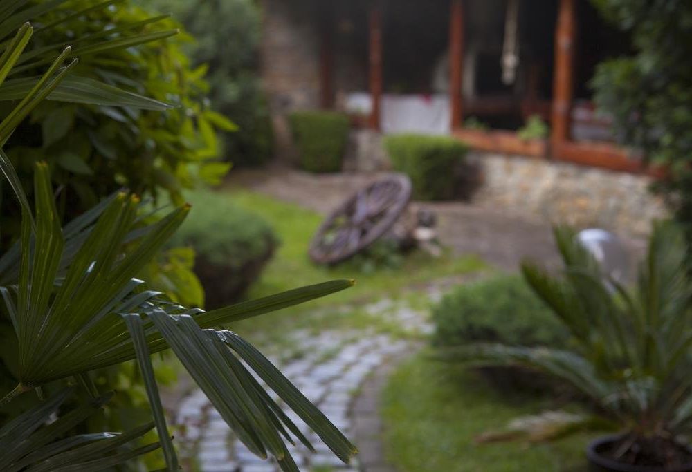 Outdoor Pictures 8