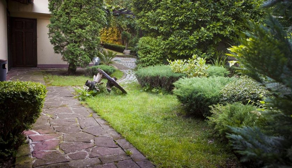 Outdoor Pictures 10