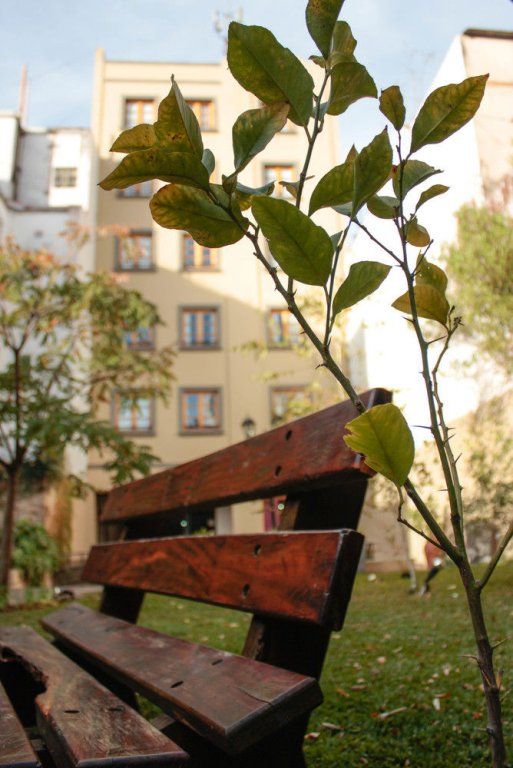 Outdoor Pictures 14