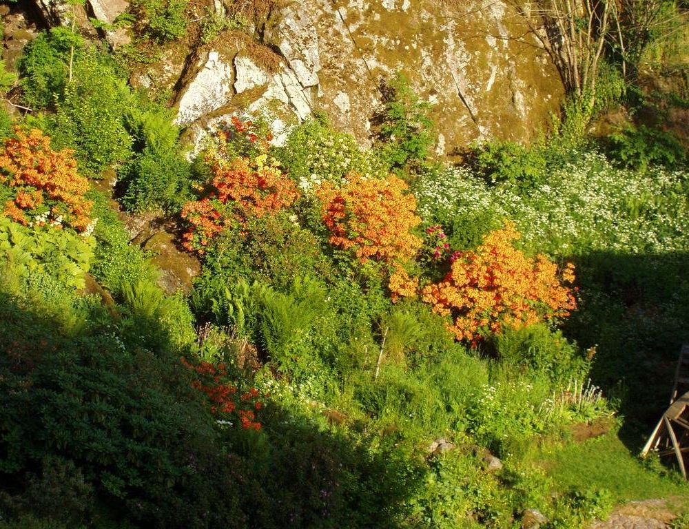 Outdoor Pictures 20