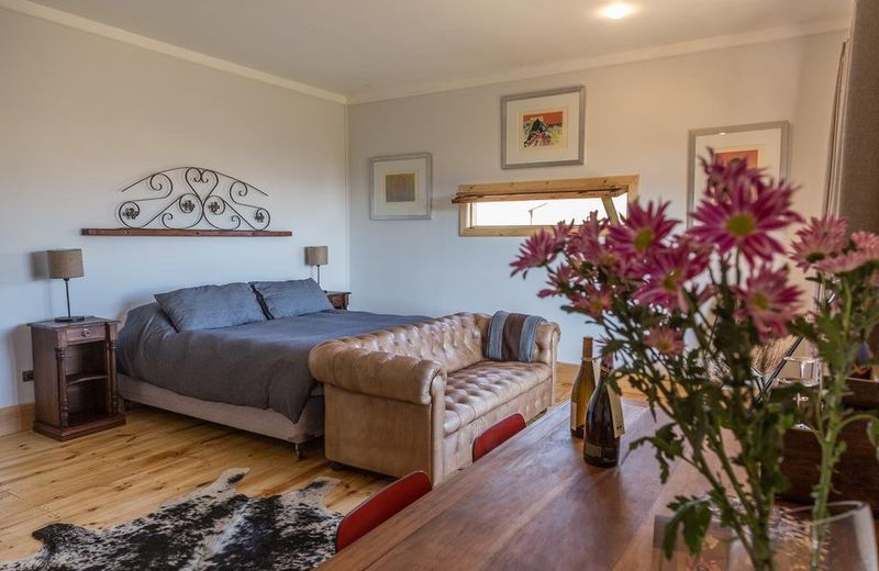 Casavino Casablanca