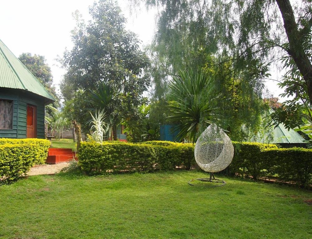 Outdoor Pictures 15