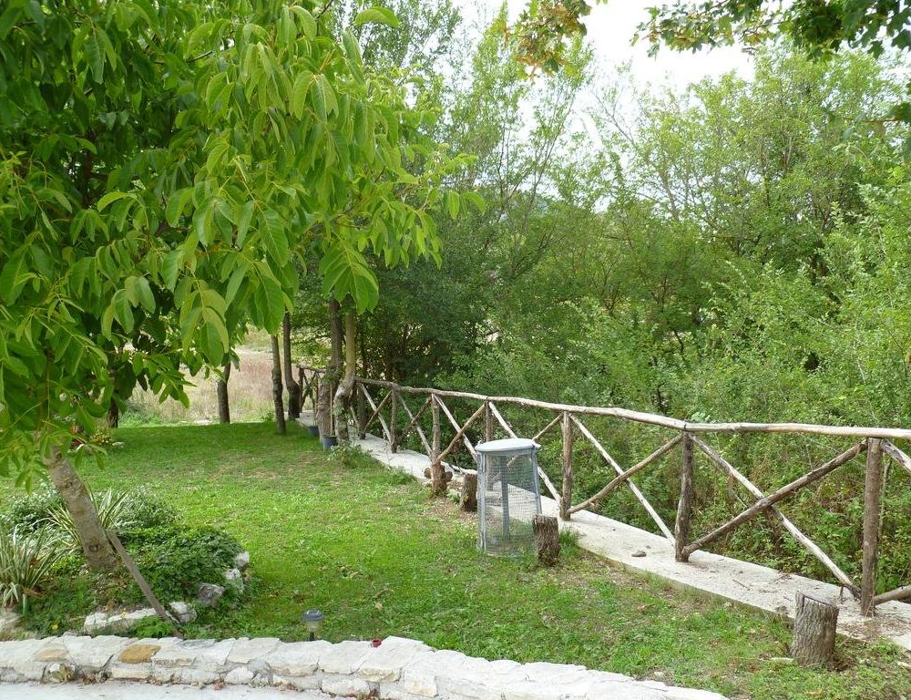 Outdoor Pictures 17