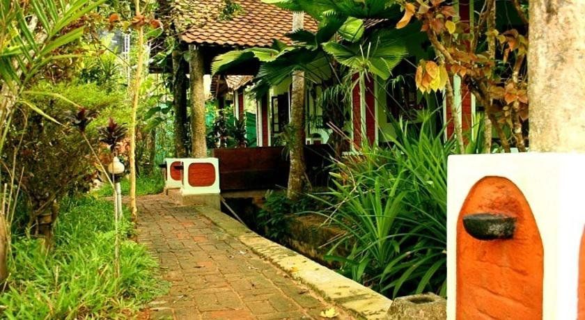 Outdoor Pictures 23
