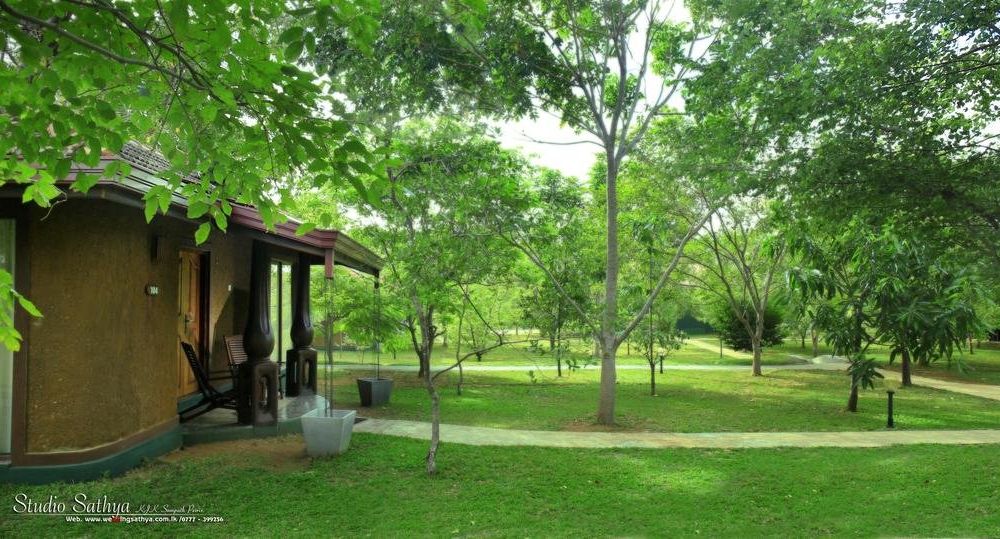 Outdoor Pictures 15