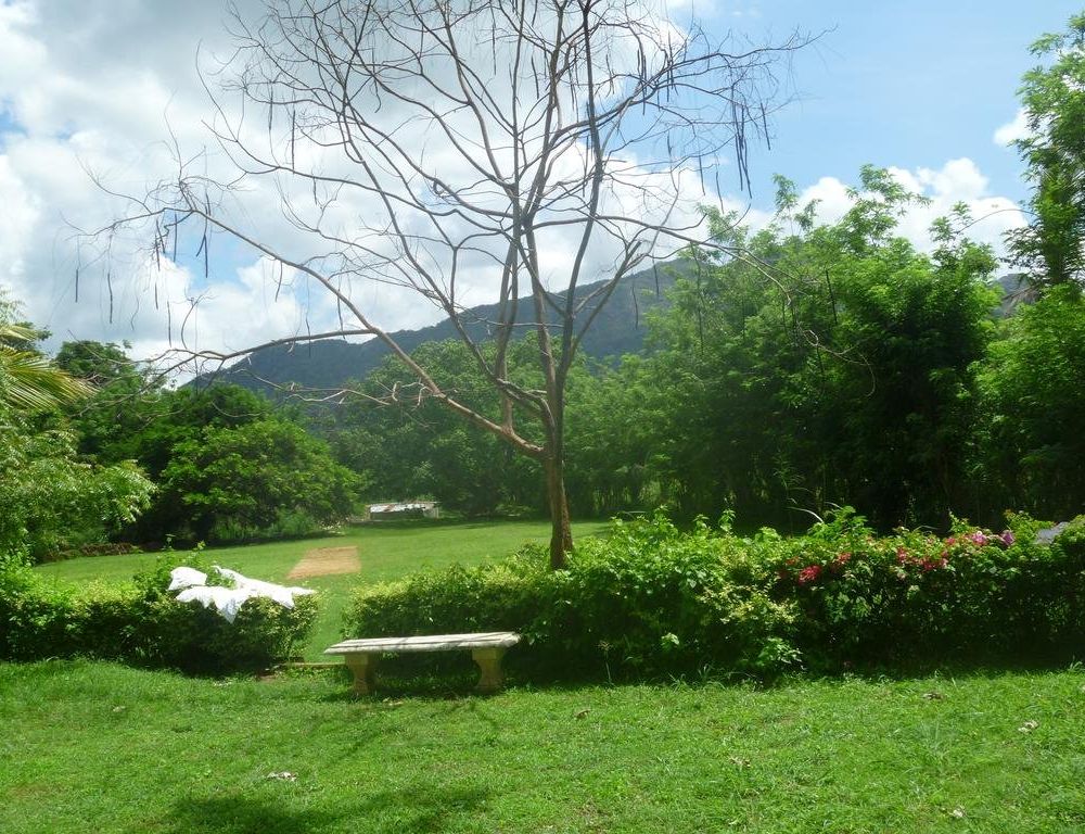 Outdoor Pictures 17