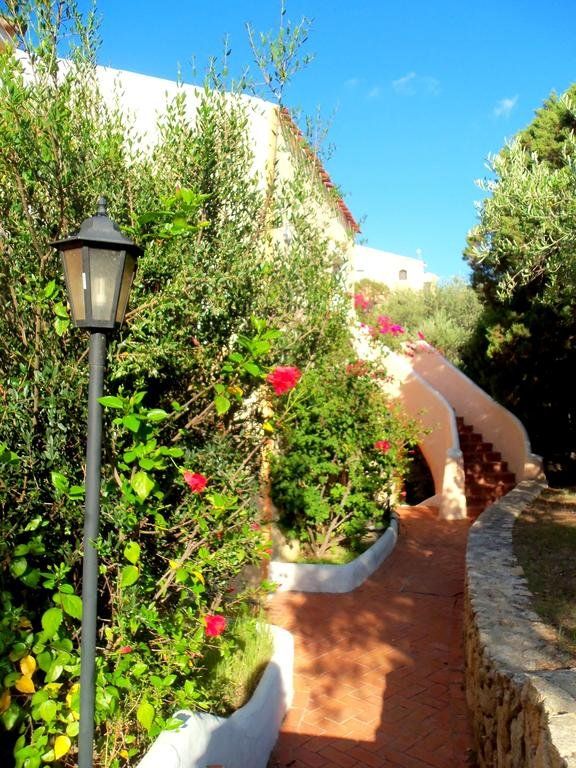 Outdoor Pictures 16