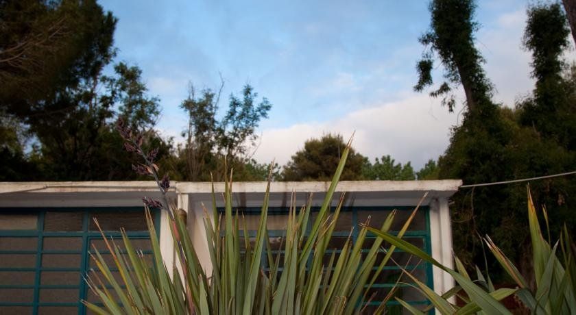 Outdoor Pictures 24