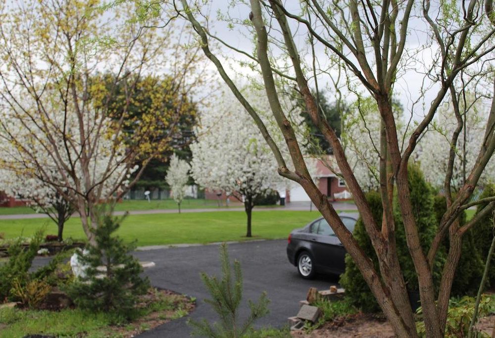 Outdoor Pictures 23