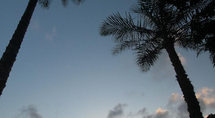 Outdoor Pictures 14