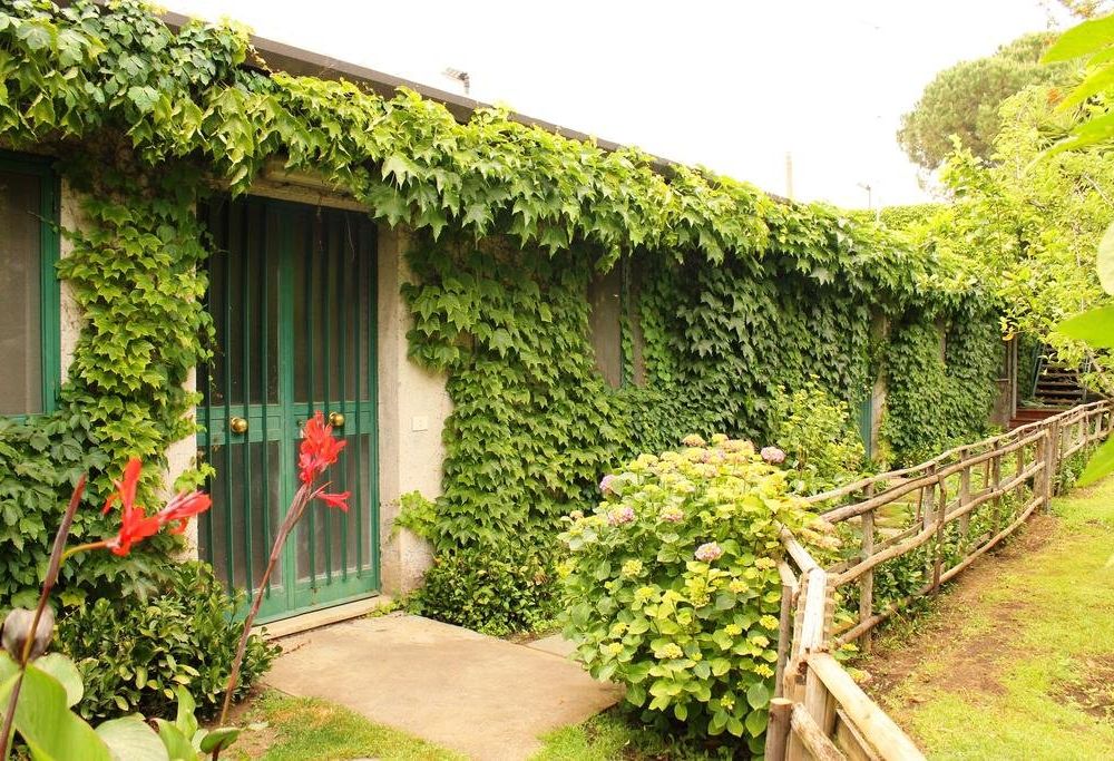 Outdoor Pictures 21