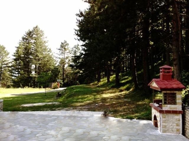 Outdoor Pictures 11