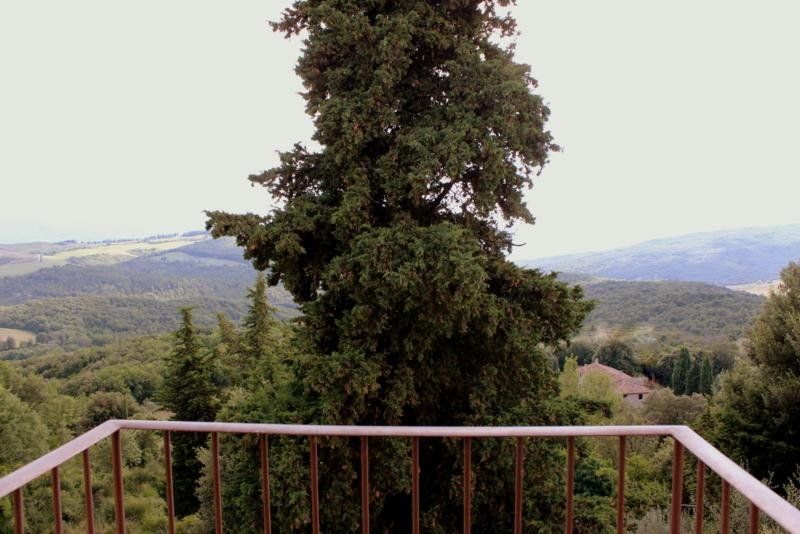 Outdoor Pictures 15