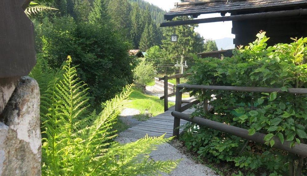Outdoor Pictures 9