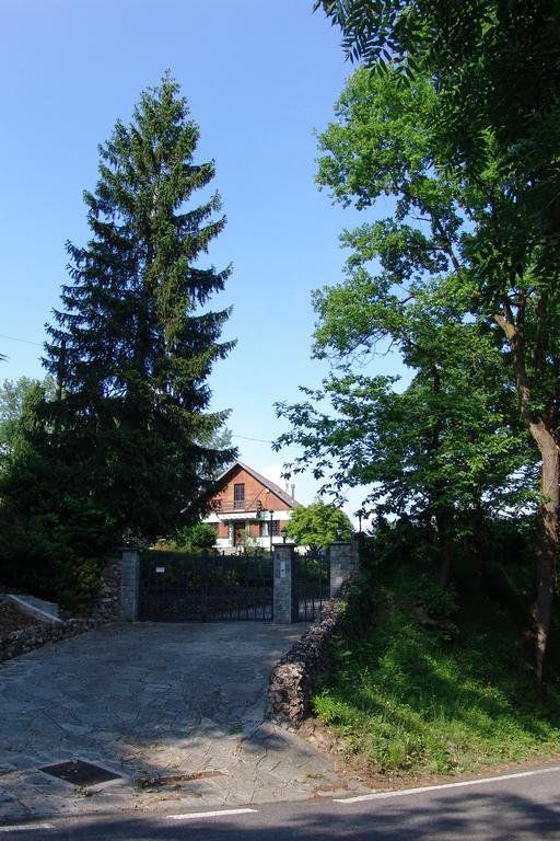 Outdoor Pictures 23