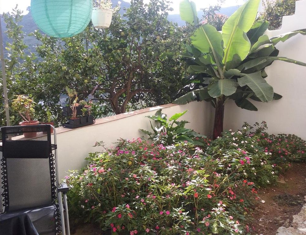 Outdoor Pictures 11