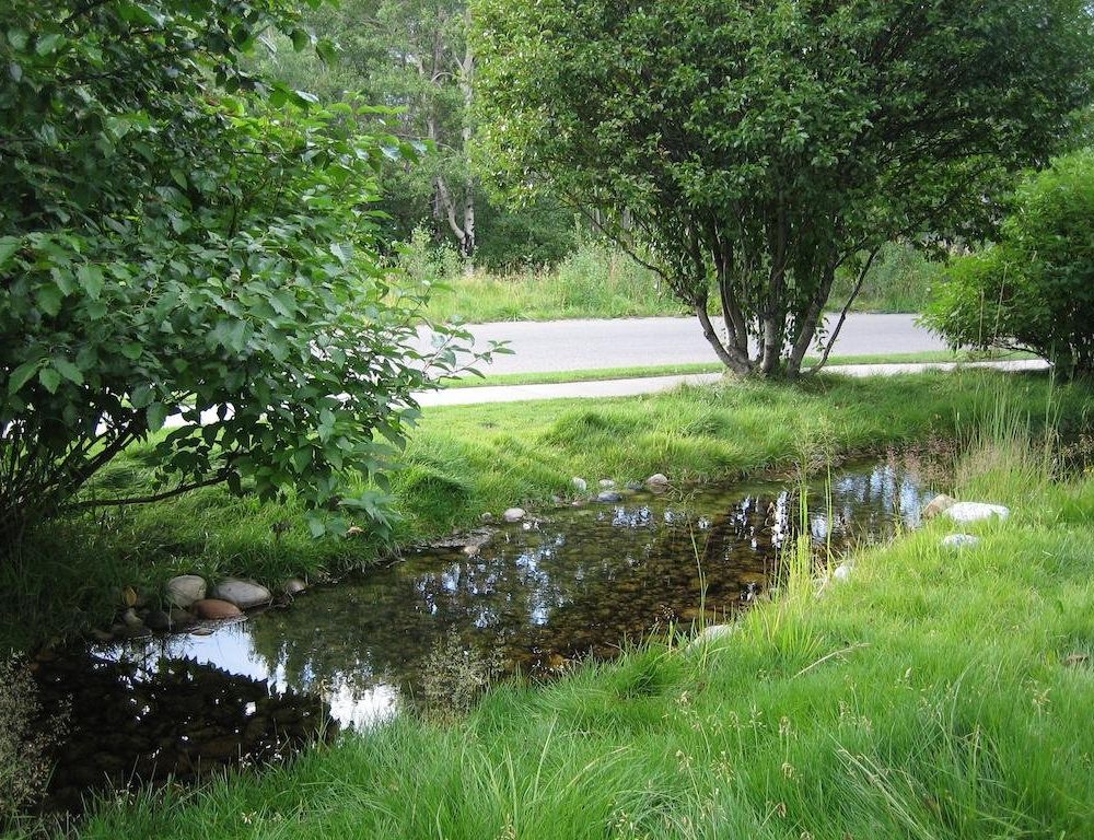Outdoor Pictures 17