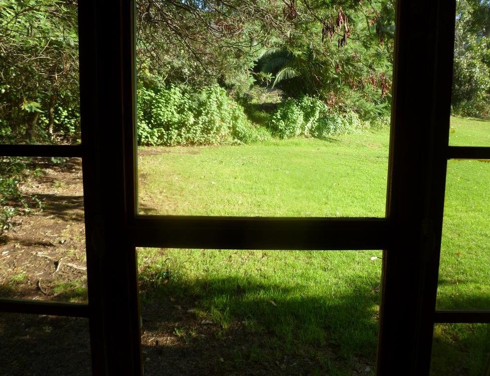 Outdoor Pictures 18
