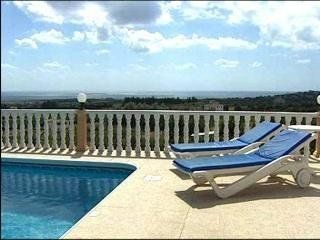 Secret Oasis Anemona