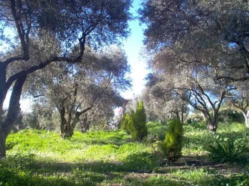 Outdoor Pictures 6