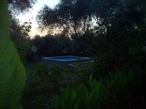 Outdoor Pictures 7