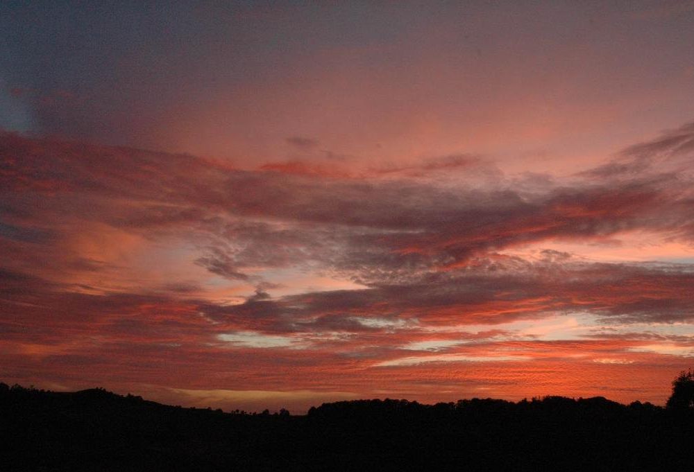 Outdoor Pictures 15