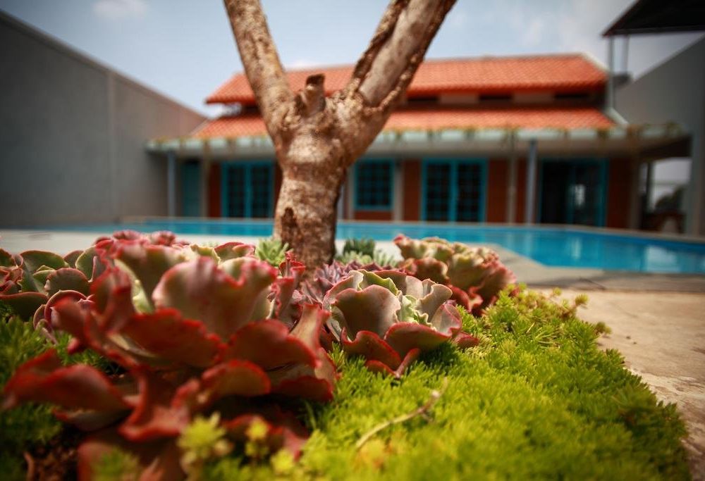 Outdoor Pictures 24