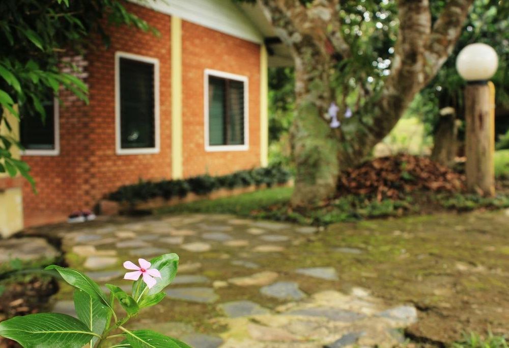 Outdoor Pictures 22