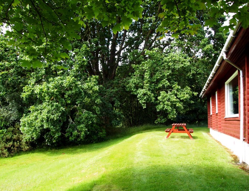 Outdoor Pictures 13