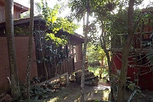 Outdoor Pictures 10