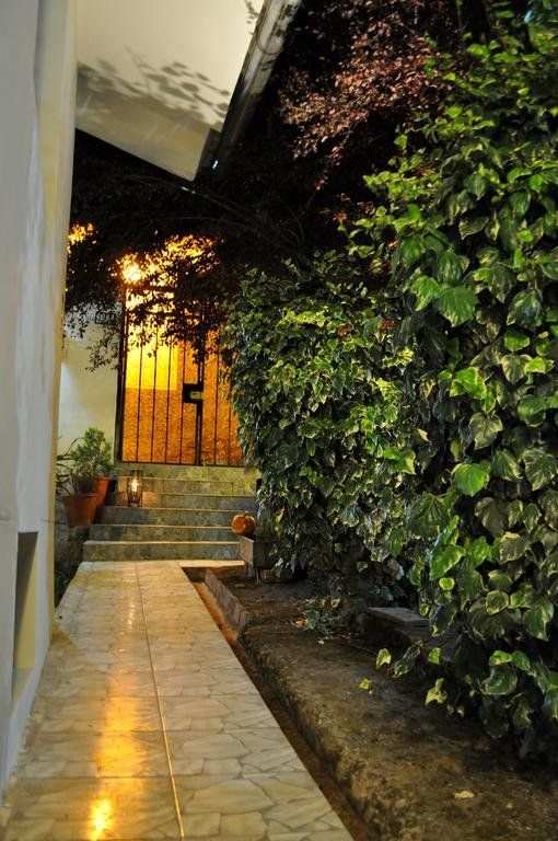 Outdoor Pictures 23