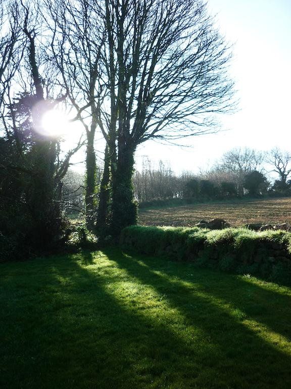 Outdoor Pictures 14