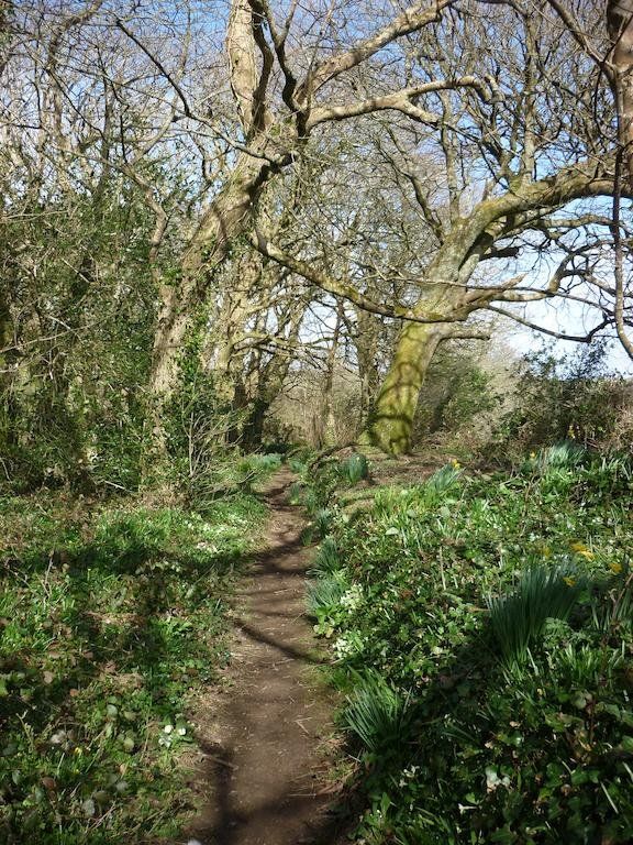 Outdoor Pictures 18