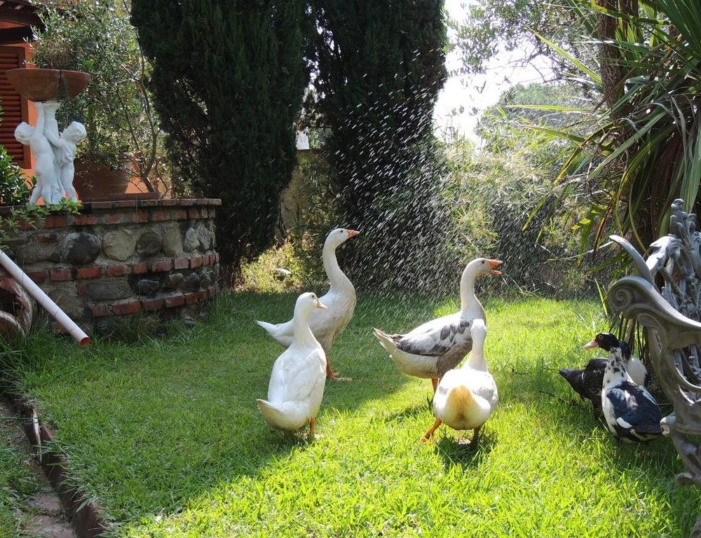 Outdoor Pictures 22
