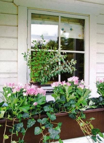 Outdoor Pictures 6
